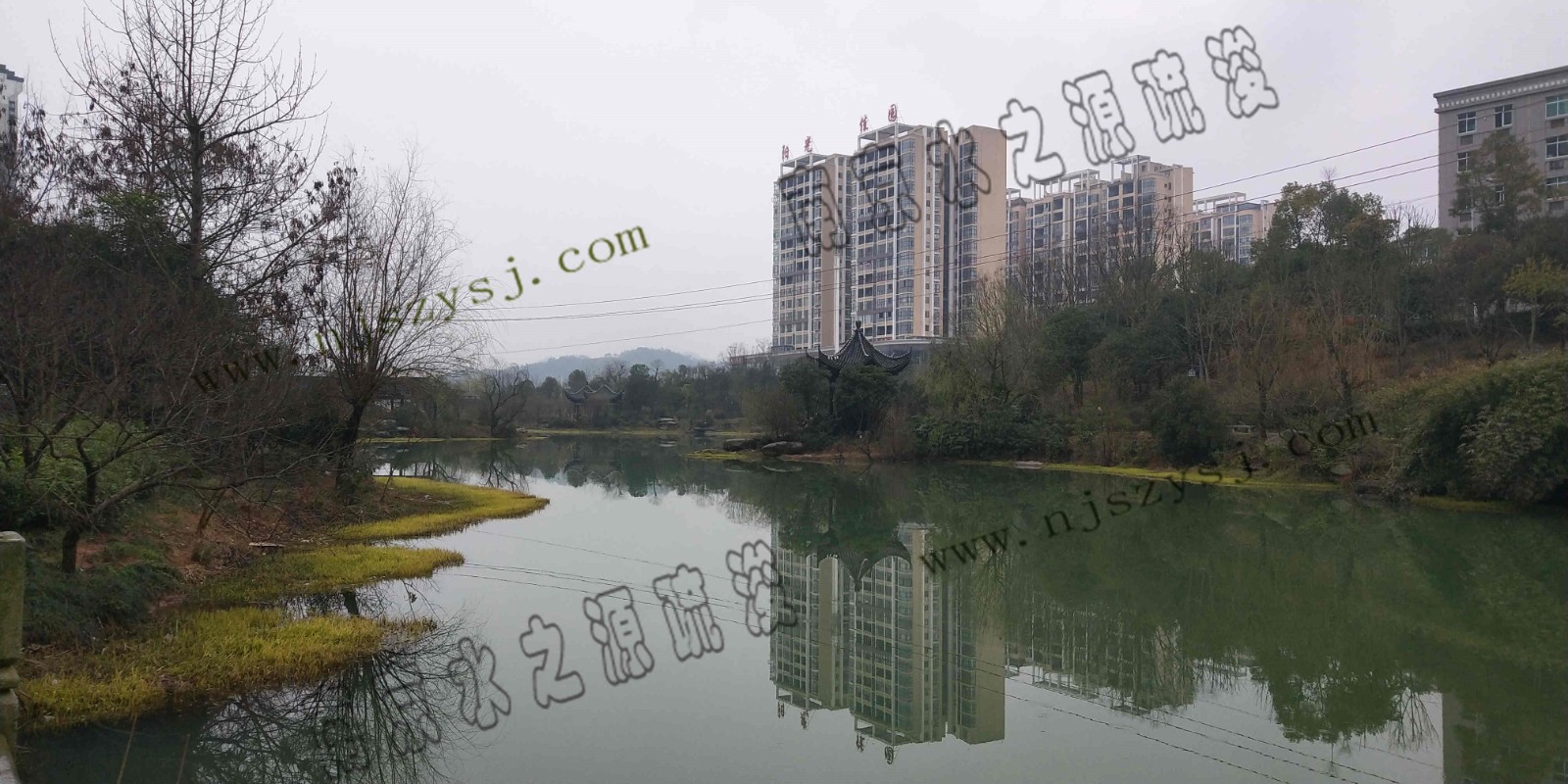 相思湖下游7.jpg 相思湖下游7.jpg