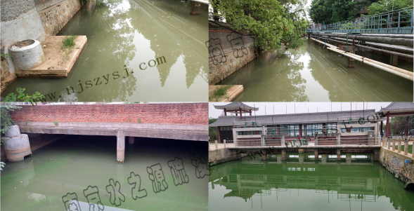 踏勘时的现场情况3.png 踏勘时的现场情况3.png