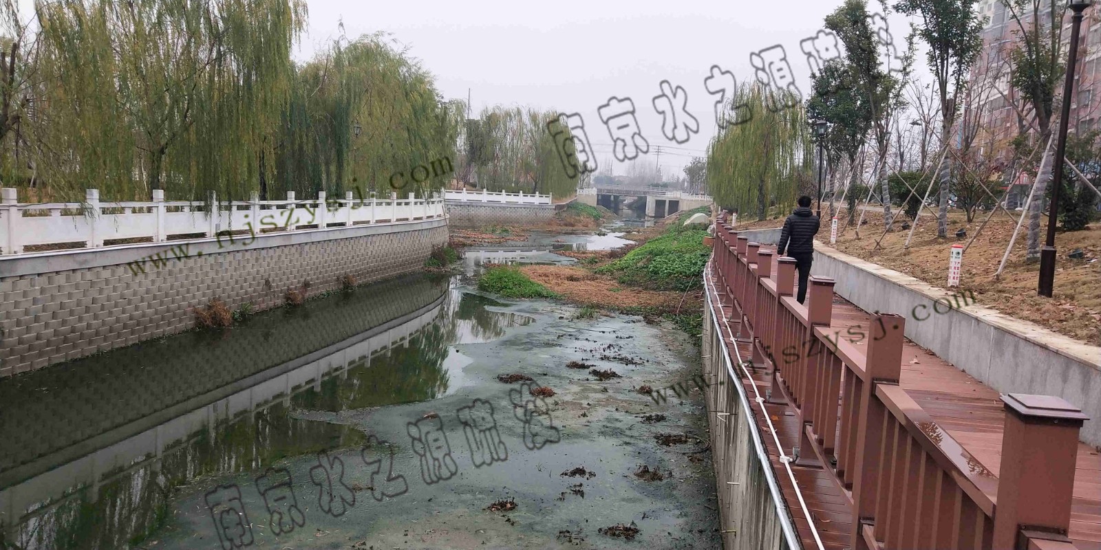 河道中段4.jpg 河道中段4.jpg