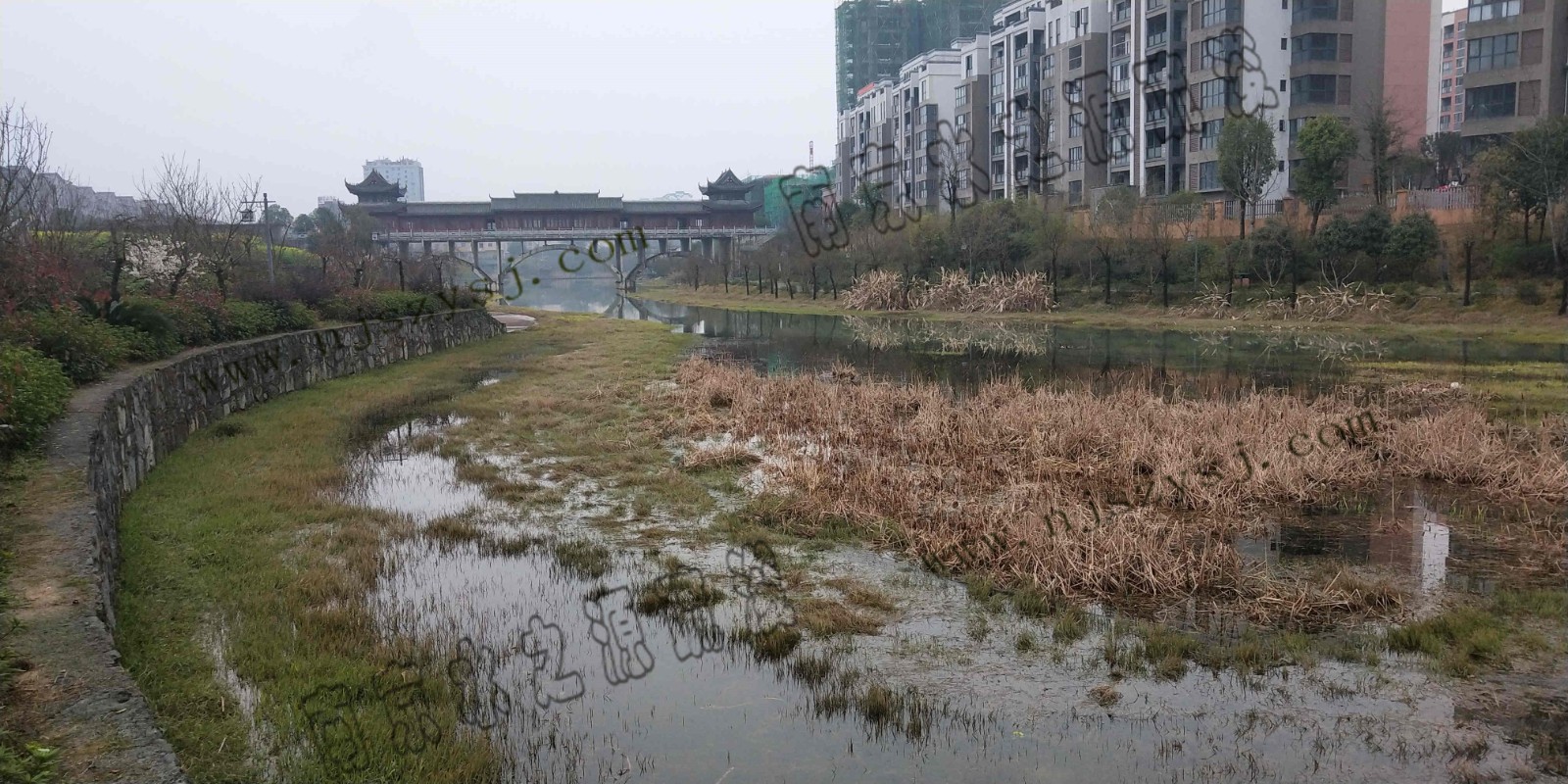 相思湖上游4.jpg 相思湖上游4.jpg